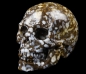 Preview: Skull Coffee Opal